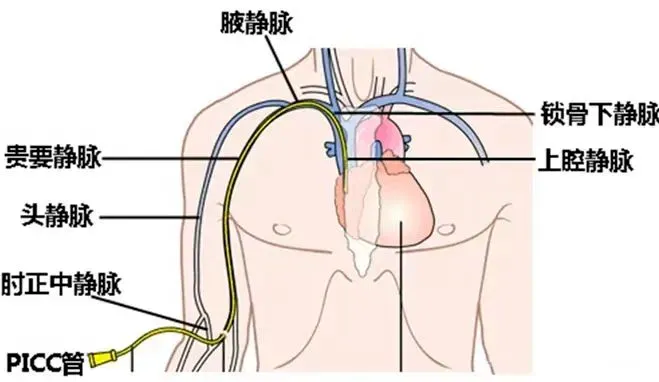圖片2.png