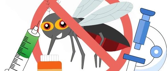 【2025年愛國衛(wèi)生月】全國瘧疾日——嚴(yán)防輸入再傳播，鞏固消除瘧疾成果